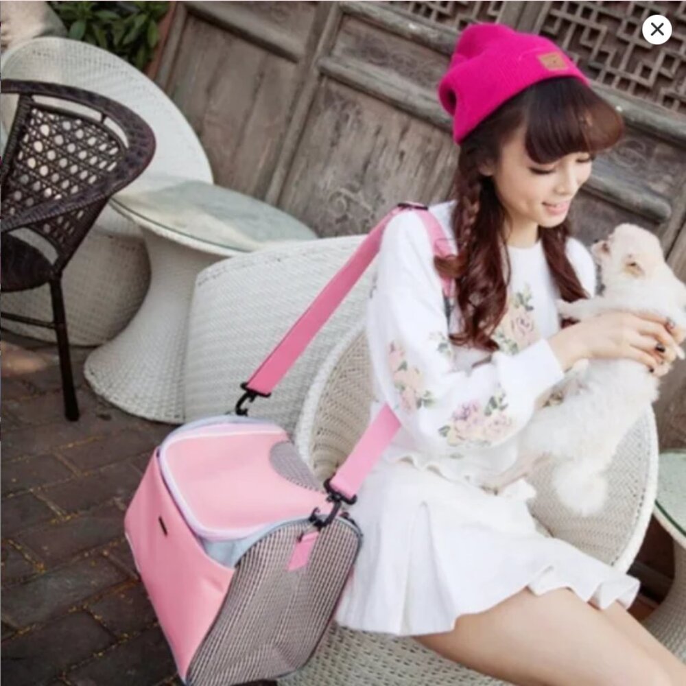 💮2/$40💮 Pink Soft PU Leather Pet Carrier Bag